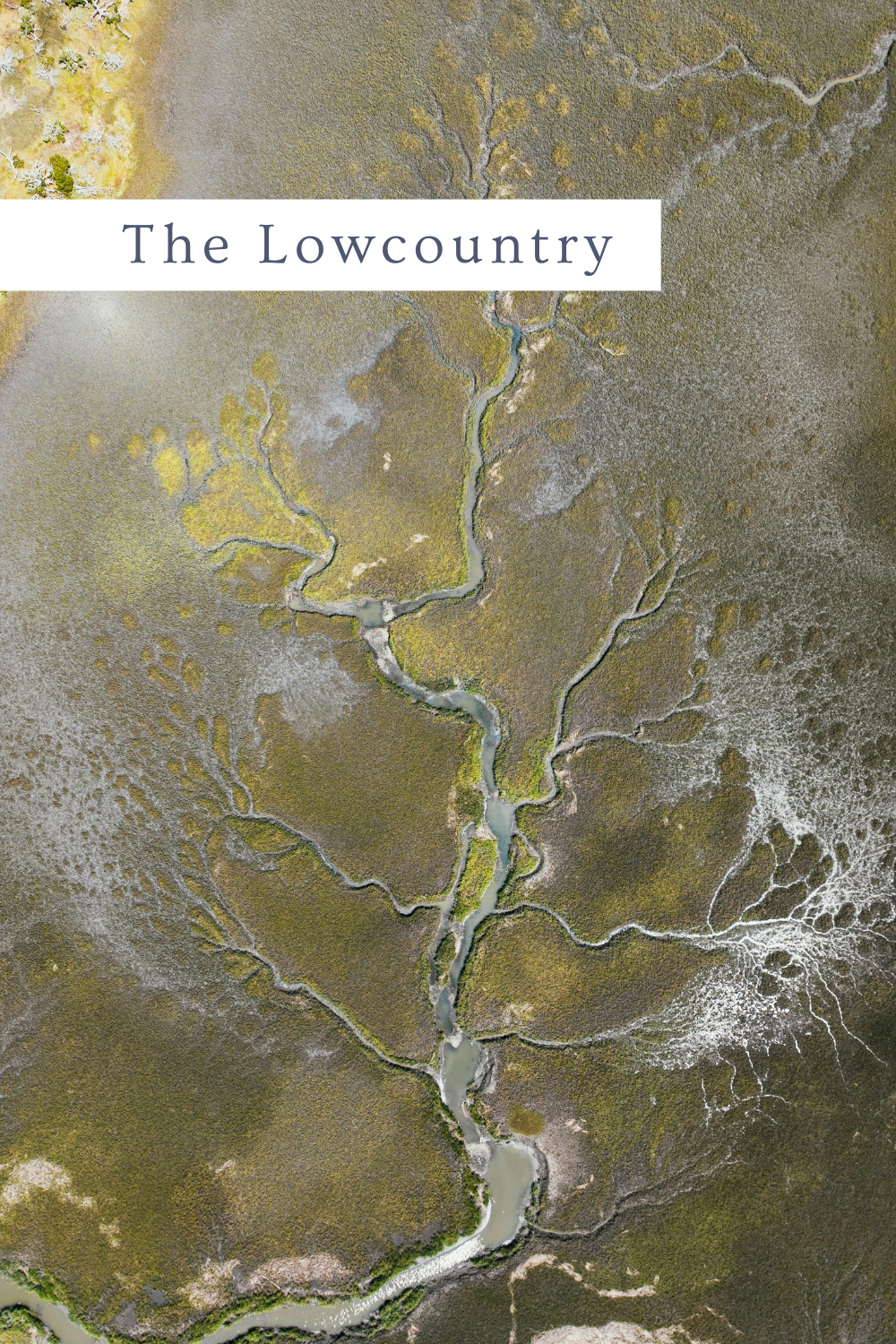 The Lowcountry