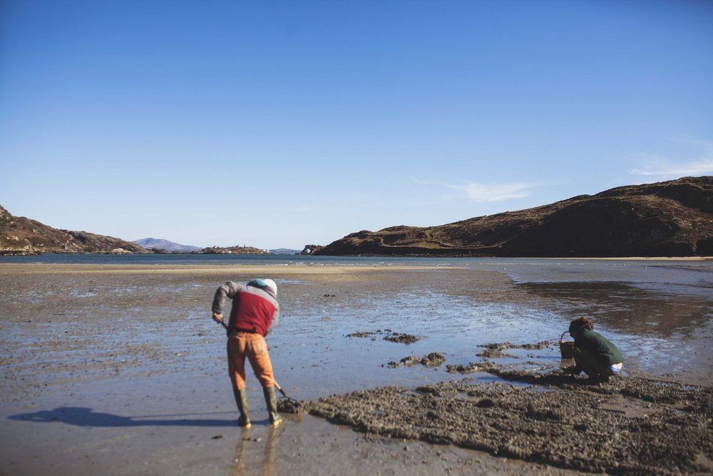 WORKSHOP: Sea Picking