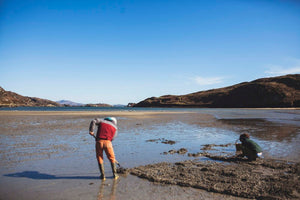WORKSHOP: Sea Picking