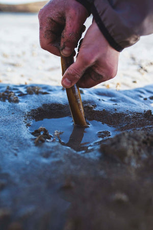 WORKSHOP: Sea Picking